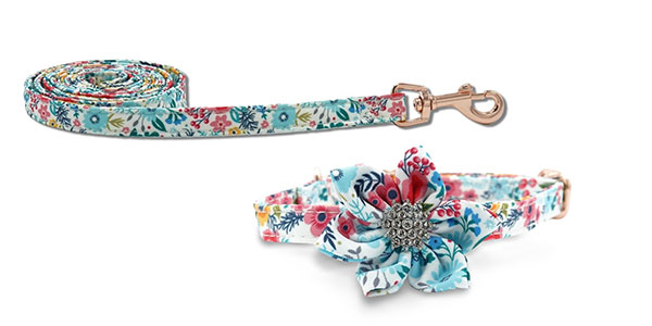 Blossom jewel set vodítko a obojek pro psy - bílý